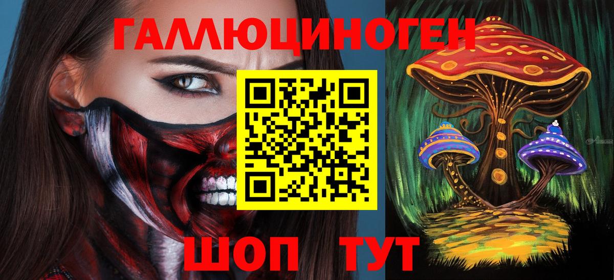 Псилоцибиновые грибы Psilocybine cubensis  Вход с VPN  Татарск 